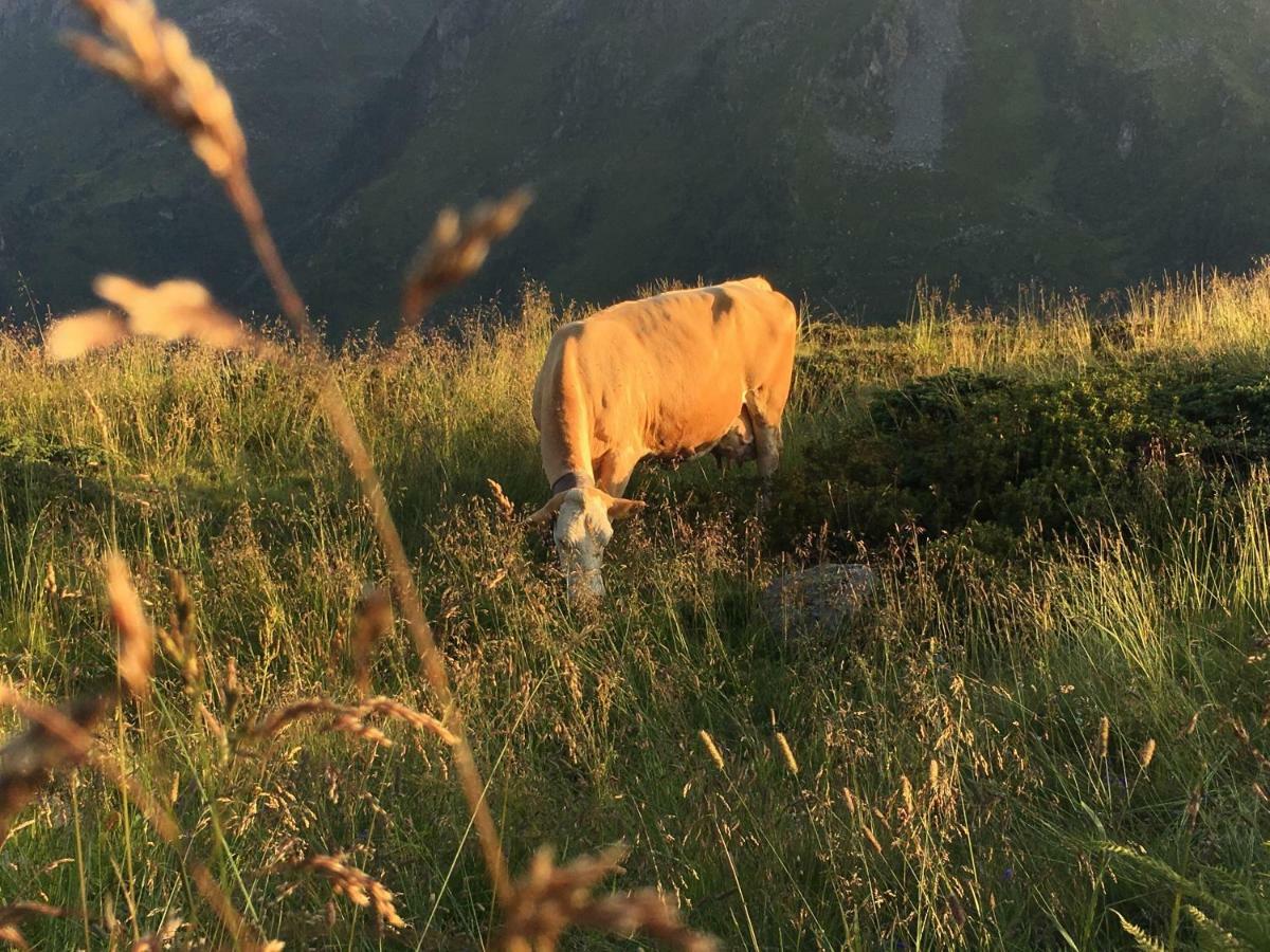 Apartament Freihaushof Mayrhofen Zewnętrze zdjęcie